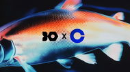 Coinbase Acquihires Team at Iron Fish Blockchain