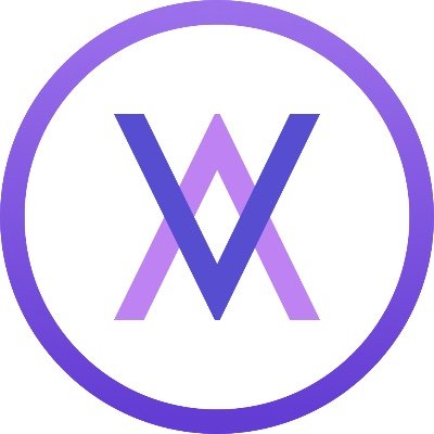 Velvet Capital