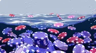 Is SOL Undervalued?